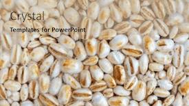  Presentation with aspergillus - Presentation theme consisting of koji-barley-whole-grain-barley background and a coral colored foreground