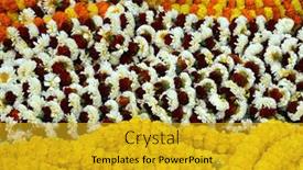  Presentation with calcutta - 