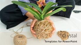  Presentation with diy - Beautiful slides featuring kokedama-plant-diy-woman-making backdrop and a coral colored foreground