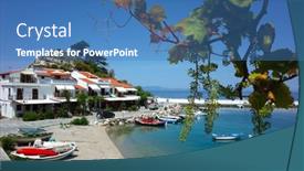  Presentation with grapevine - 