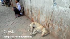  Presentation with february - 