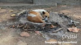  Presentation with february - 