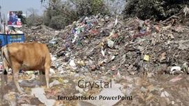  Presentation with animals - 