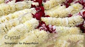  Presentation with calcutta - 