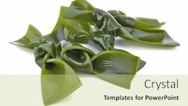  Presentation with seaweed - Presentation design enhanced with kombu-kelp background and a mint green colored foreground