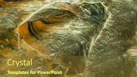  Presentation with seaweed - Slide deck featuring kombu-seaweed-isolated background and a tawny brown colored foreground