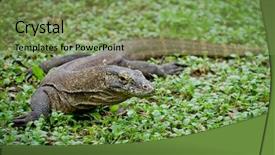  Presentation with bali island typical indonesia - Beautiful PPT layouts featuring white arrow with growth word hang on cyan background image 3d rendering backdrop and a mint green colored foreground