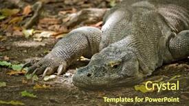  Presentation with indonesia - Cool new slide deck with komodo dragon in rinca island backdrop and a tawny brown colored foreground
