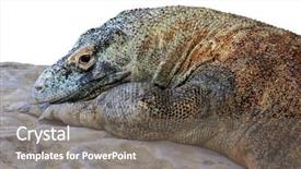  Presentation with dragon - PPT layouts consisting of antique compass used by explorers for finding directions and reading a map or chart background and a mint green colored foreground