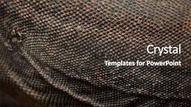  Presentation with varanus - Theme consisting of komodo dragon varanus komodoensis skin background and a tawny brown colored foreground