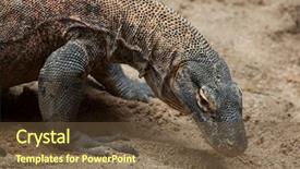  Presentation with varanus - PPT theme having komodo dragon varanus komodoensis wildlife background and a tawny brown colored foreground