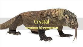  Presentation with tongue - PPT theme having komodo dragon walking and sticking background and a tawny brown colored foreground