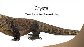  Presentation with dragon - Audience pleasing slide set consisting of komodo dragon walking and sticking backdrop and a white colored foreground