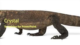  Presentation with dragon - Presentation theme consisting of komodo dragon walking and sticking background and a tawny brown colored foreground