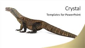  Presentation with dragon - PPT theme featuring komodo dragon walking and sticking background and a  colored foreground