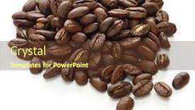  Presentation with kopi - Colorful presentation enhanced with kopi luwak indonesian premium coffee beans isoalted on white background backdrop and a tawny brown colored foreground