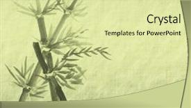  Presentation with bamboo paper - Colorful slides enhanced with korea traditional new year - silhouette of branches backdrop and a soft green colored foreground