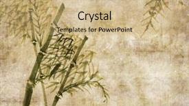  Presentation with bamboo paper - Slide deck enhanced with korea traditional new year - silhouette of branches background and a coral colored foreground