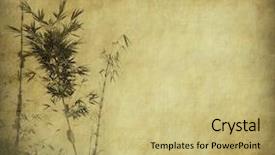  Presentation with bamboo paper - Beautiful presentation featuring korea traditional new year - silhouette of branches backdrop and a yellow colored foreground