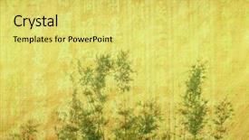  Presentation with bamboo paper - Colorful PPT layouts enhanced with korea traditional new year - silhouette of branches backdrop and a yellow colored foreground