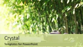  Presentation with asian culture - Amazing slides having korean culture - classical asian tea set backdrop and a soft green colored foreground