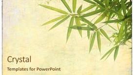  Presentation with korean culture - Colorful presentation design enhanced with korean culture - old paper texture with bamboo backdrop and a cream colored foreground