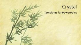  Presentation with korean culture - Presentation theme having korean culture - silhouette of branches background and a blonde colored foreground