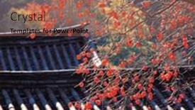  Presentation with korean culture - 