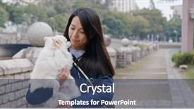  Presentation with guide dog helping blind woman - PPT theme with korean design - woman go out with pomeranian background and a ocean colored foreground