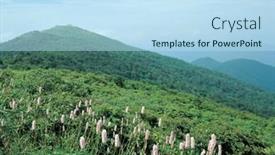  Presentation with korean - 