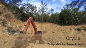  Presentation with palm oil - 