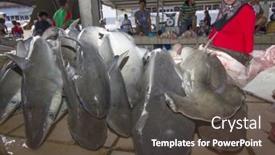  Presentation with environmental - Theme enhanced with kota-kinabalu-malaysia-may-12 background and a tawny brown colored foreground