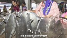  Presentation with environmental - Beautiful theme featuring kota-kinabalu-malaysia-may-12 backdrop and a  colored foreground