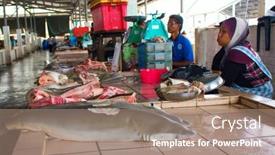  Presentation with environmental - Colorful slide deck enhanced with kota-kinabalu-malaysia-may-12 backdrop and a coral colored foreground