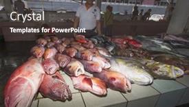  Presentation with declining - PPT layouts having kota-kinabalu-malaysia-may-12 background and a dark gray colored foreground