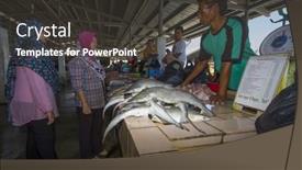  Presentation with environmental - Slide set enhanced with kota-kinabalu-malaysia-may-17 background and a dark gray colored foreground