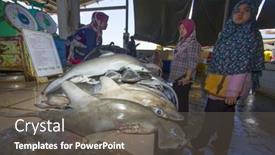  Presentation with environmental - Presentation design with kota-kinabalu-malaysia-may-17 background and a gray colored foreground