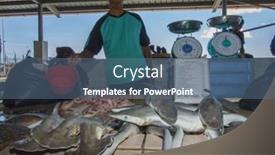  Presentation with environmental - Presentation having kota-kinabalu-malaysia-may-17 background and a ocean colored foreground