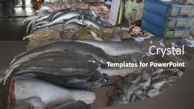  Presentation with environmental - Slides consisting of kota-kinabalu-malaysia-may-17 background and a dark gray colored foreground