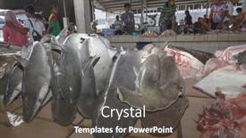  Presentation with environmental - PPT theme with kota-kinabalu-malaysia-may-17 background and a  colored foreground