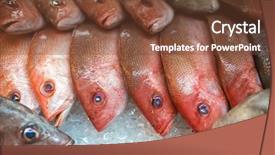  Presentation with frozen ice cold fish - Theme having kota kinabalu market borneo malaysia background and a tawny brown colored foreground