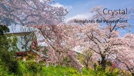  Presentation with rural - PPT theme having kotokuji-temple-in-rural-shizuoka background and a light blue colored foreground