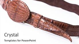  Presentation with crocodile - Audience pleasing PPT layouts consisting of kozhi - women's belt from kozhy crocodile backdrop and a white colored foreground