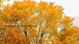  Presentation with season - Colorful presentation theme enhanced with kronos - autumn season and nature concept backdrop and a  colored foreground