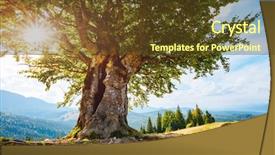  Presentation with tree farm - Slide deck with kronos - bright rolling countryside background and a tawny brown colored foreground