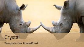  Presentation with kruger - Cool new presentation theme with kruger national park south africa backdrop and a coral colored foreground