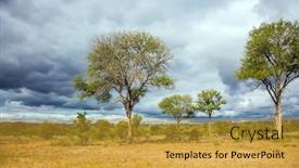  Presentation with africa tourism - Cool new PPT theme with kruger-park-african-savannah-flat backdrop and a gold colored foreground