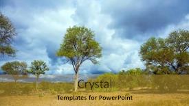  Presentation with kruger - Amazing presentation theme having kruger-park-south-africa-african backdrop and a gold colored foreground