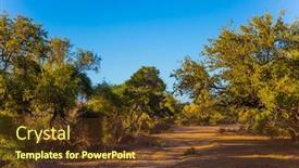  Presentation with south africa - Beautiful PPT theme featuring kruger-park-south-africa-beautiful backdrop and a tawny brown colored foreground