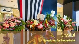  Presentation with sephora - Audience pleasing slide set consisting of kuala-lumpur-malaysia-january-18 backdrop and a tawny brown colored foreground